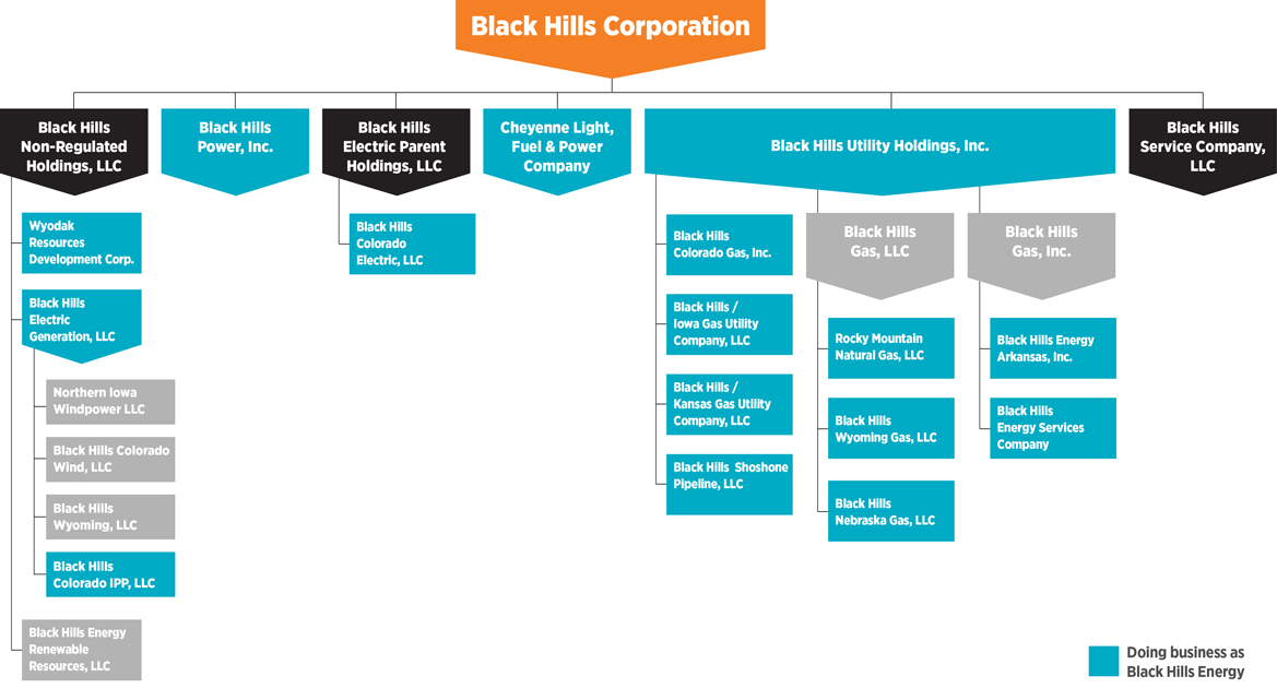 Black Hills' Corporate Structure